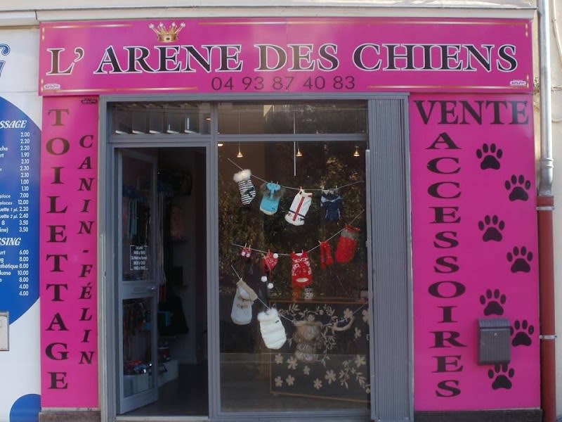 L'arène des chiens — photo