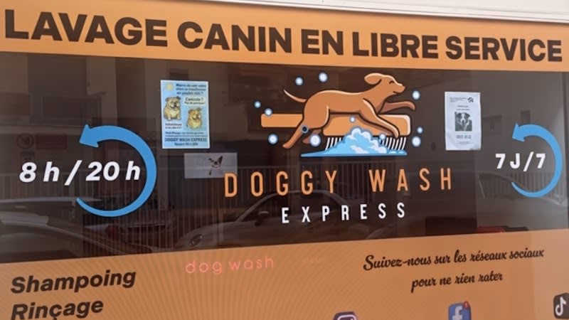 Doggy Wash Express — photo