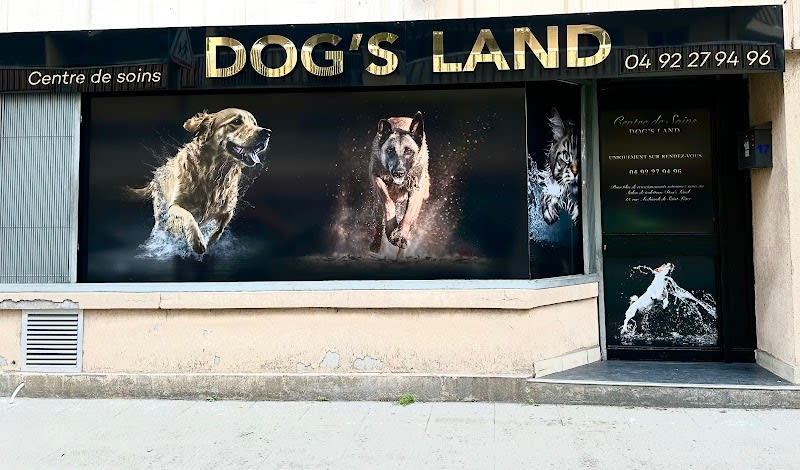 Centre de soins dog’s land — photo