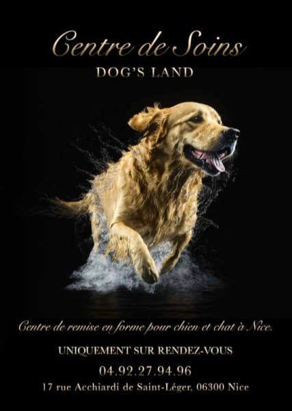 Centre de soins dog’s land — photo