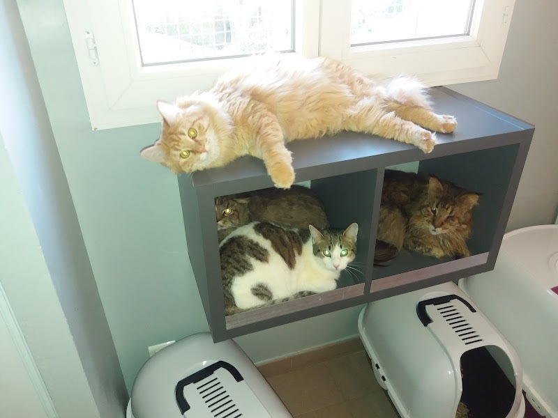 Dispensaire SPA de Le Cannet — photo