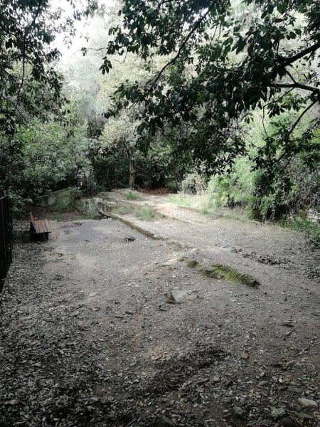 Aire d'ébats canins — photo