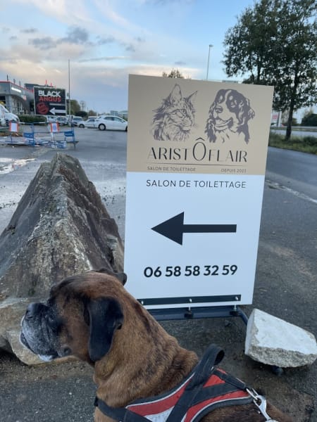 AristÔFlair — photo
