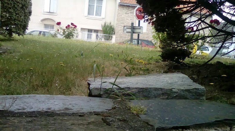 CHIENS, CHATS ET COMPAGNIE — photo