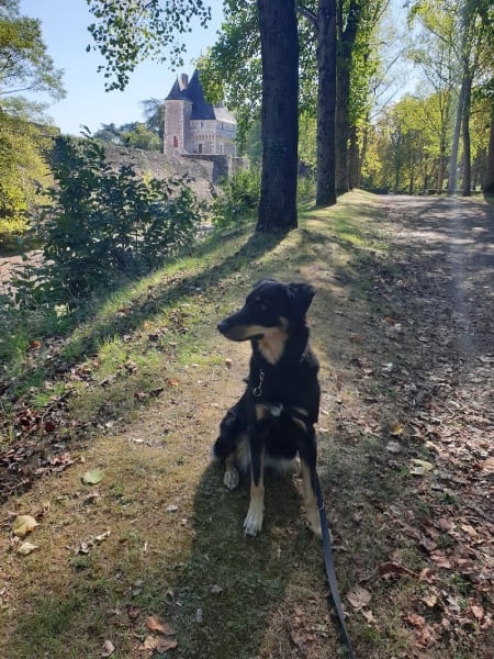 Les Grands Chenils de l'Ouest — photo
