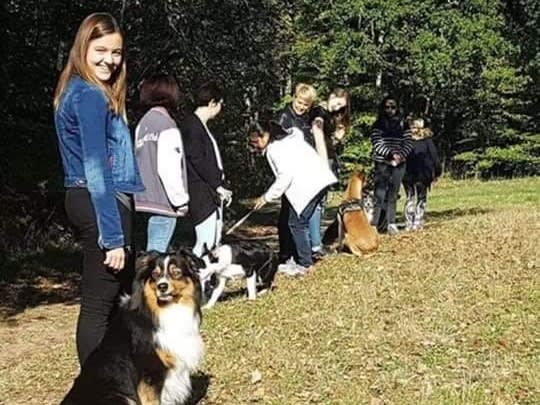 "Oh my Dog" à domicile- Éducation et Rééducation comportementale.educateur canin nantes — photo