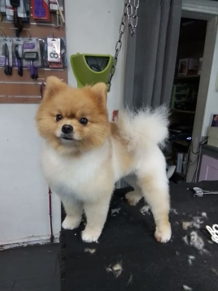 Ami Chien — photo