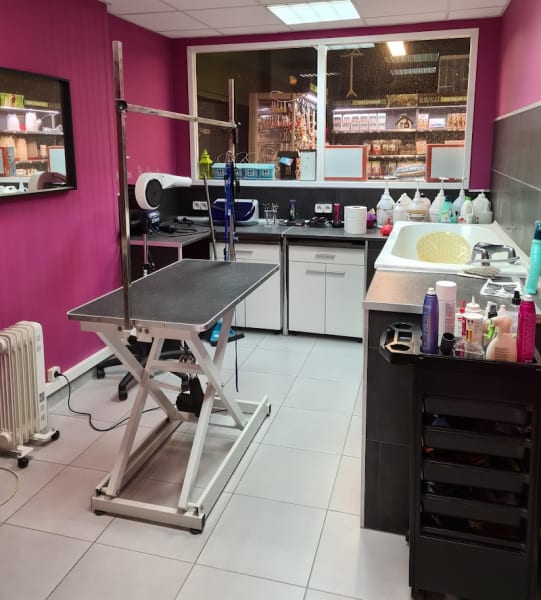 O'Poils, salon de toilettage, Castelnau-le-Lez — photo
