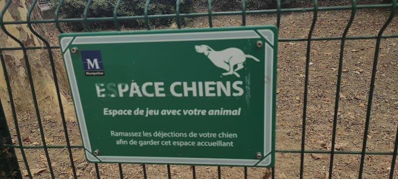 Espace chiens — photo