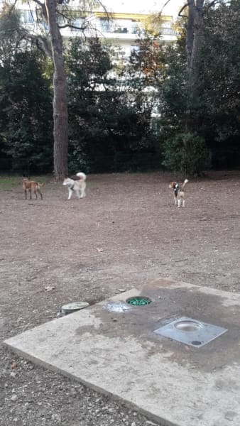 Parc pour chiens Aiguelongue — photo