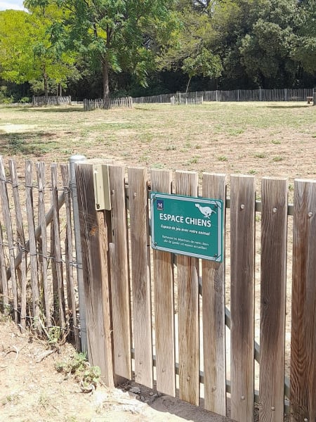 Parc à chiens — photo