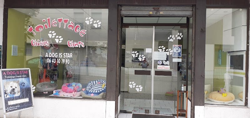 A Dog Is Star - Toilettage chien chat Mérignac — photo