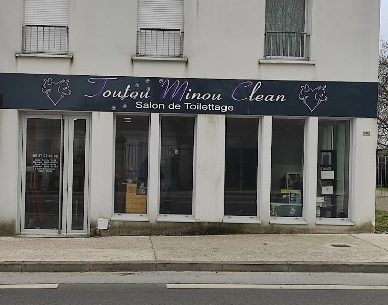 Toutou minou clean — photo