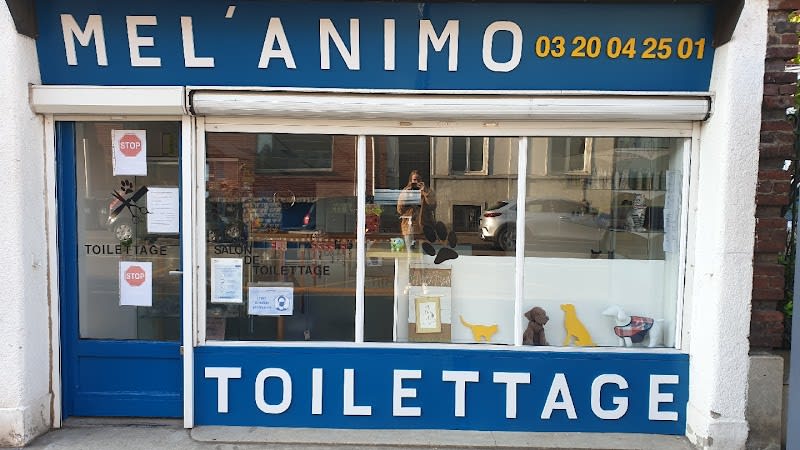 Mel'Animo — photo