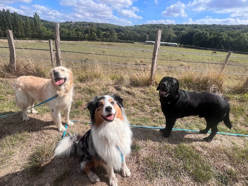 Les Compagnons de Lili — photo