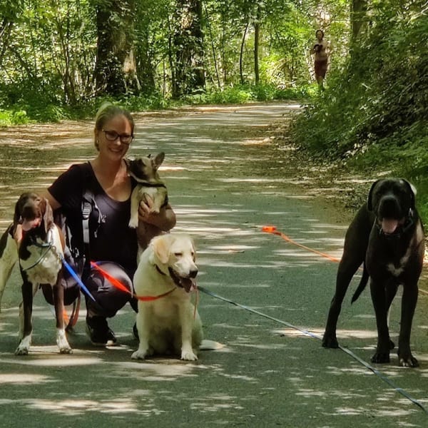 Les Compagnons de Lili — photo