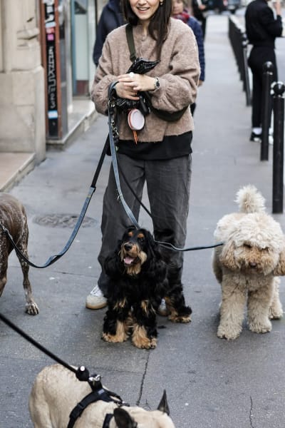 Les Mignons — photo