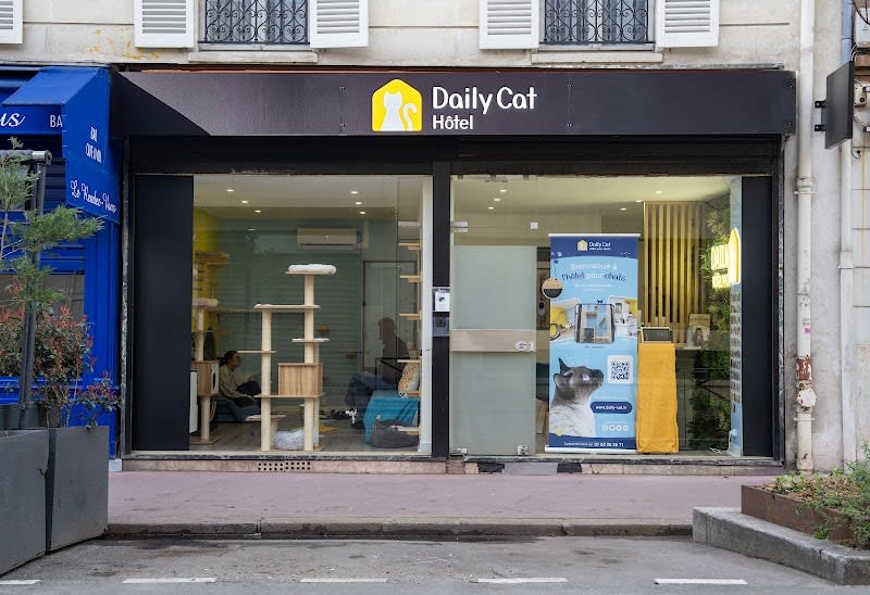 Daily Cat - Hôtel pour chats — photo