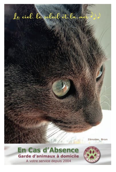 En-Cas d'Absence - cat sitters à Lyon — photo