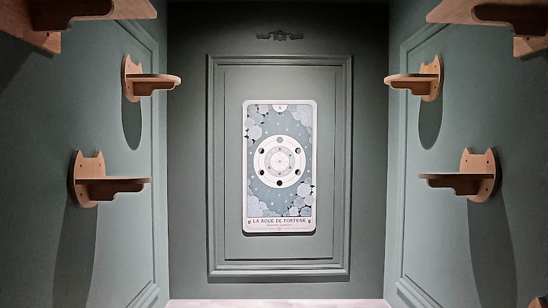 GentleCat Grand Hotêl - hôtel félin - pension premium pour chats — photo