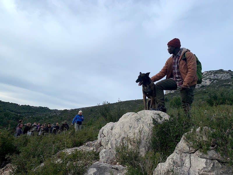 éducation canine MARSEILLE Dog land — photo