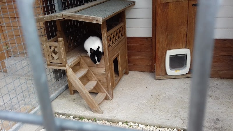 Villa Jayne ~ Pension Chats — photo