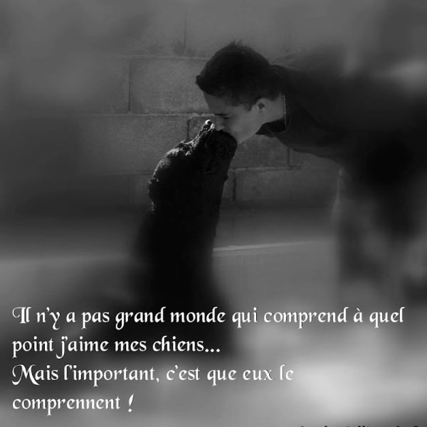 Chenil Des Fontaines — photo