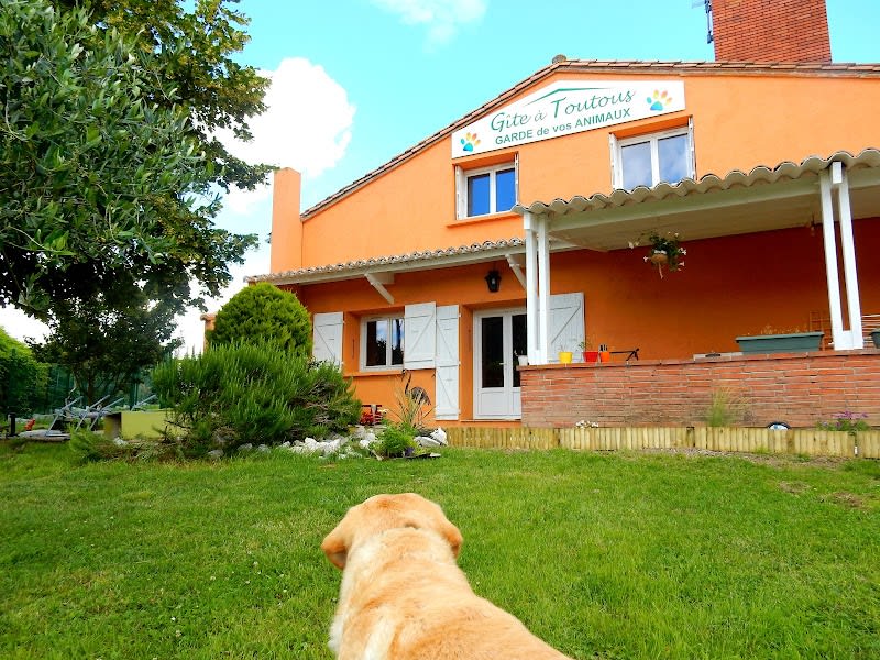 Le Gite À Toutous — photo