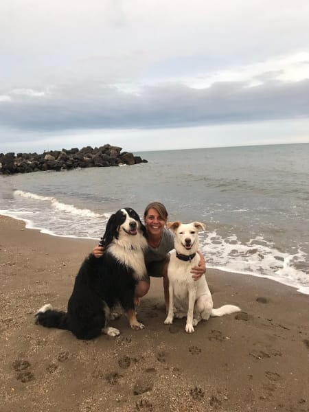 Ô Croc Mignon - Pension et Éducation Canine — photo
