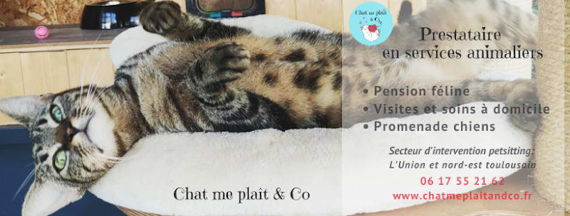Chat me plaît & Co — photo