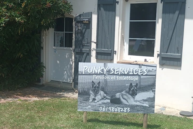 Punky Services — photo