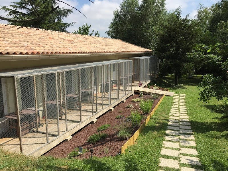 Pension Entre Chats , Pension Chats Toulouse — photo