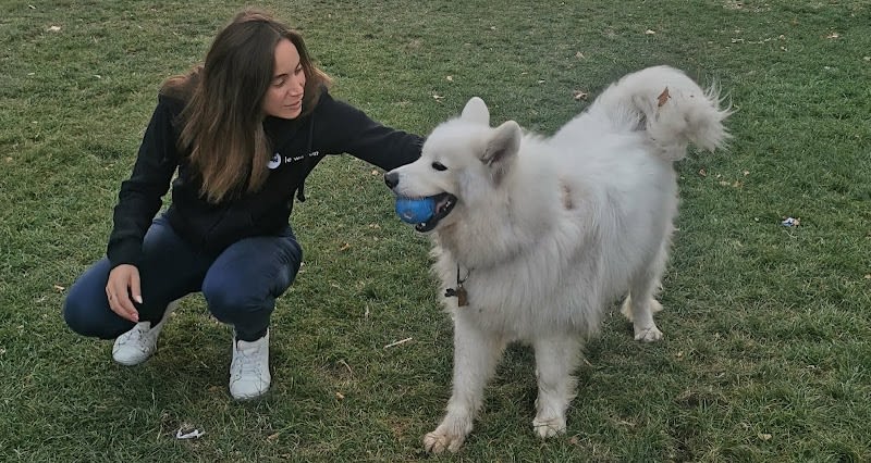 Comportementaliste chat et chien, service de promenade pour chien, pet sitting - Pet Care — photo