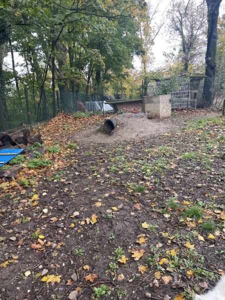 Parc canin Chazière — photo