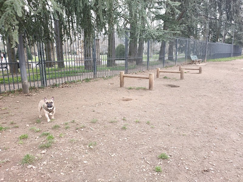 Parc à chien — photo