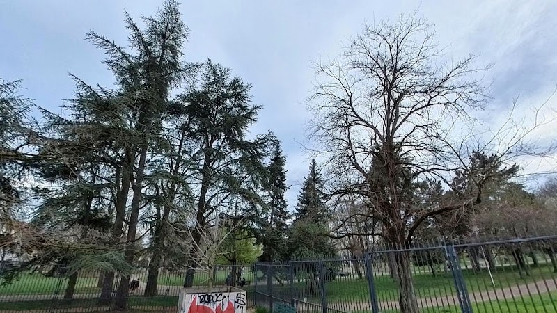 Parc à chien — photo
