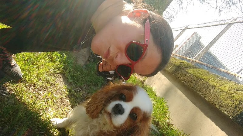 Happy Pattes — photo