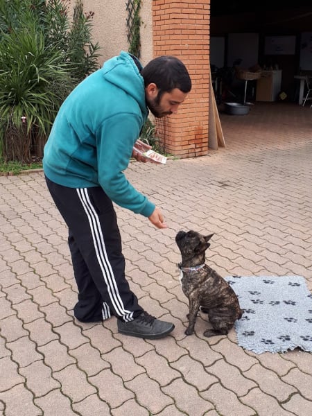 Educateur Canin Toulouse — photo