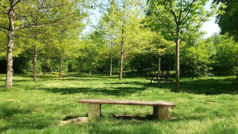 Bois de Limayrac — photo