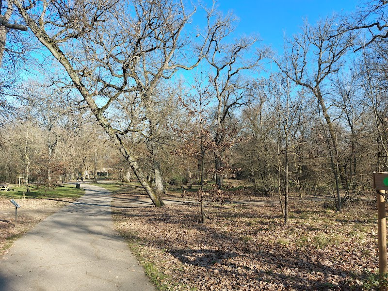 Bois de Limayrac — photo