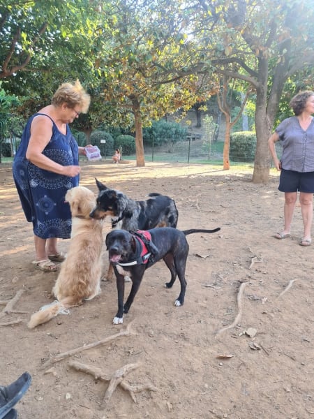 Parc pour chiens St Laurent du Var — photo