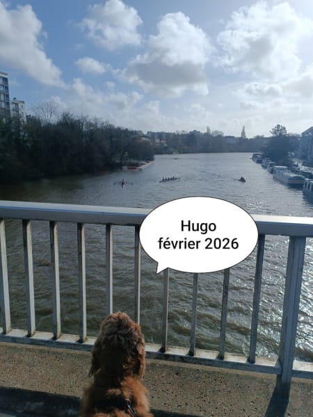 Minou et Némo — photo