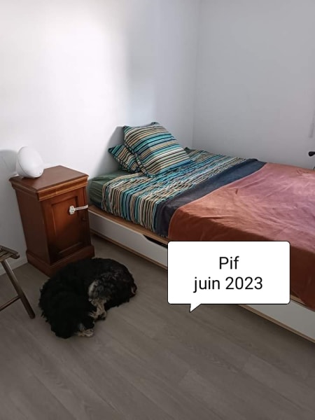 Minou et Némo — photo