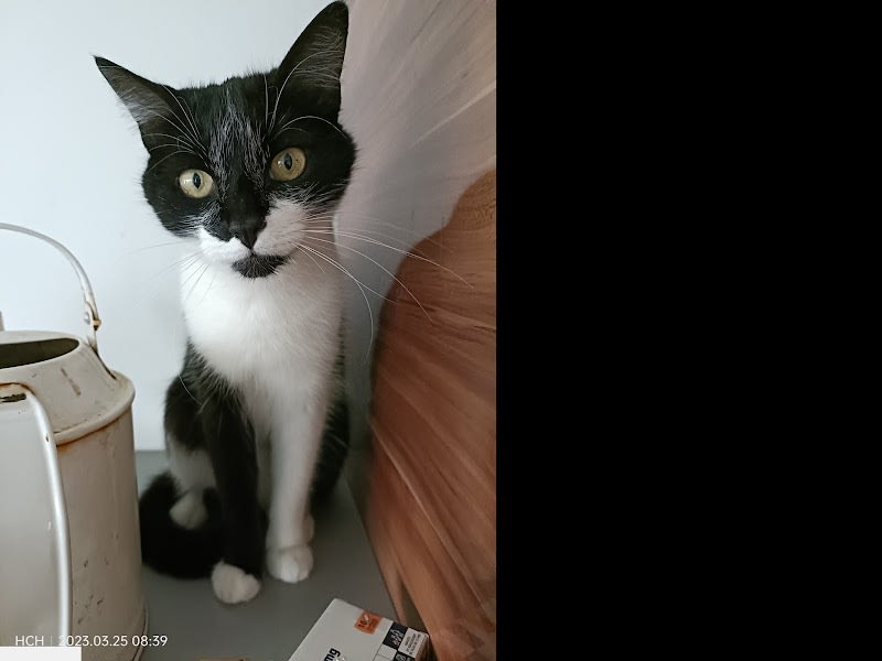 Home Chat Heureux — photo
