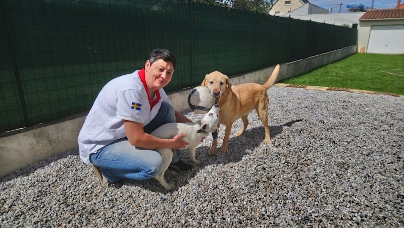 Hôtellerie Kaline - Pension Familiale pour Chats et Chiens ; Visites à domicile pour Chats — photo