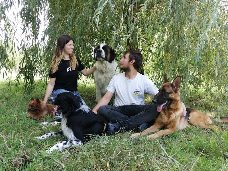 Pension canine en famille (44) — photo