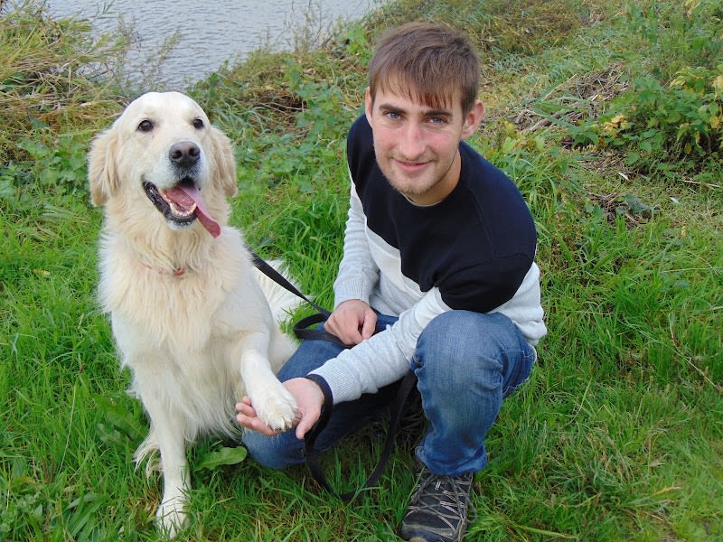 Pension canine en famille (44) — photo