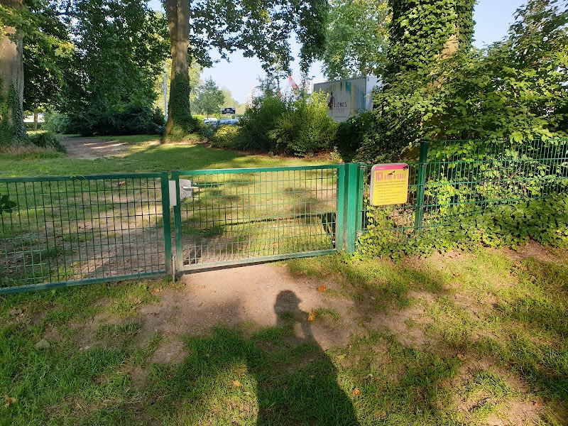 Aire d'ébats pour chiens — photo