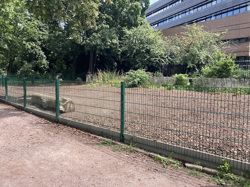 Espace canin clôturé — photo