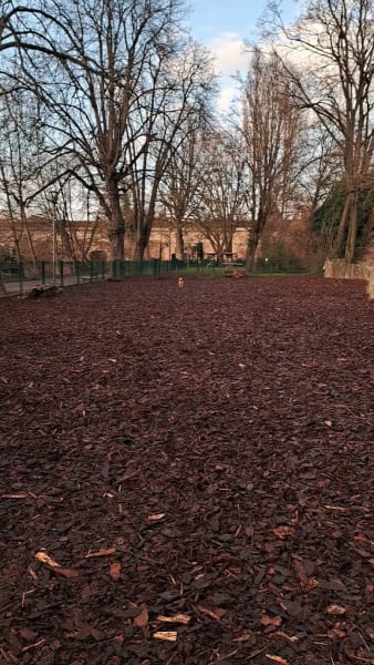 Espace canin clôturé — photo